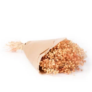 Bukiet Suszek Roque Pomaranczowy 60 Cm