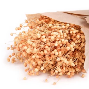 Bukiet Suszek Roque Pomaranczowy 60 Cm