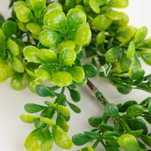 Galazka Sztuczna Farve Bukszpan 71 Cm