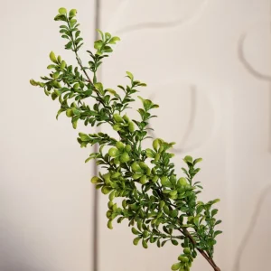 Galazka Sztuczna Farve Bukszpan 71 Cm