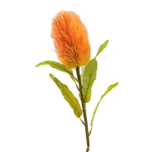 Galazka Sztuczna Malum Banksja 66 Cm