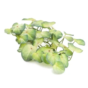 Girlanda Z Lisci Sztuczna Tropical Zone Koleus 172 Cm