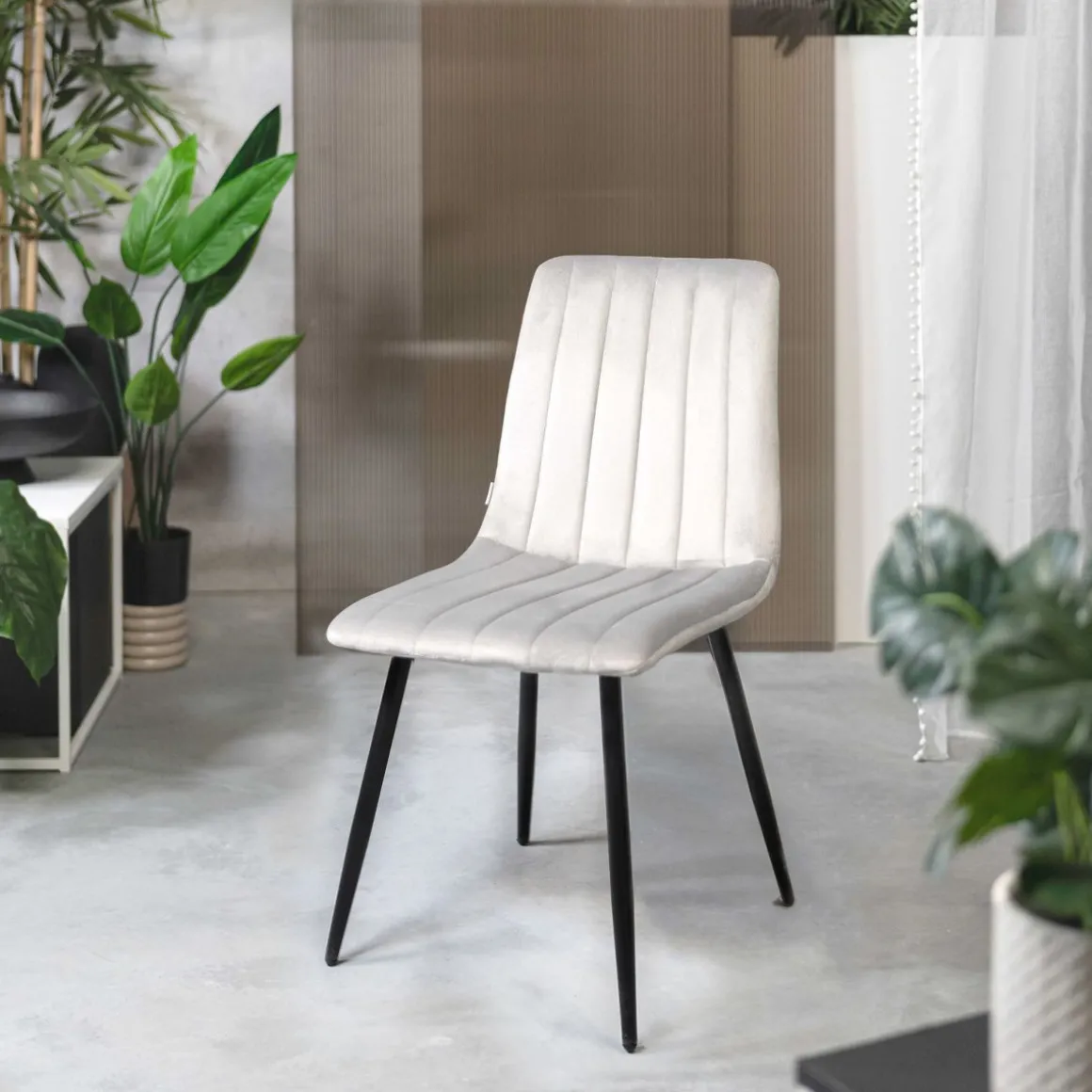 krzeslo_golick_welurowe_j_0.webp Krzeslo Golick Welurowe Jasnoszare 44X57X88 Cm