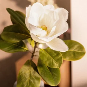Kwiat Sztuczny Hiya Magnolia 71 Cm