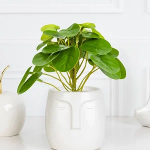 Oslonka Na Doniczke Face Biala 10X11 Cm