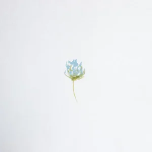 Pościel Sadie Bawelniana W Kwiatki Z Rozowa Lamowka 160X200 + 2*50X60 Cm