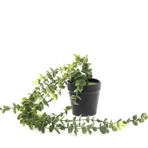 Roslina Sztuczna Eucalyptus W Donicy Wiszaca 50 Cm