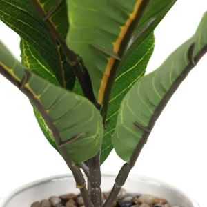 Roslina Sztuczna Semela Difenbachia 36 Cm