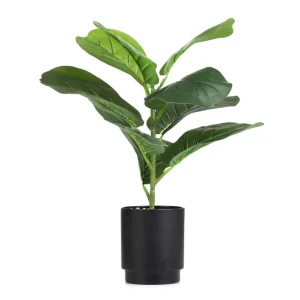 Roslina Sztuczna Semela Fikus 43 Cm