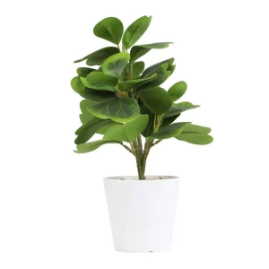Roslina Sztuczna Semela Peperomia 30 Cm
