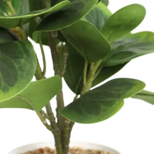 Roslina Sztuczna Semela Peperomia 30 Cm