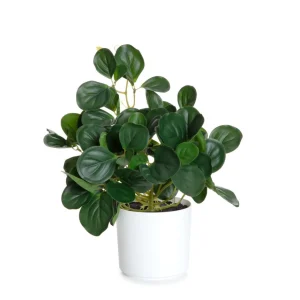 Roslina Sztuczna Tropical Zone Pepperomia 43 Cm