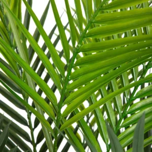 Roslina Sztuczna Tropical Zone Palma 120 Cm