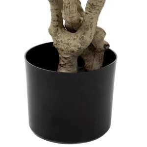 Roslina Sztuczna Tropical Zone Chameleon 120 Cm