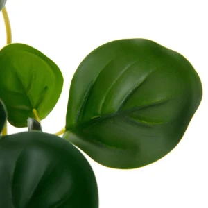 Roslina Sztuczna Tropical Zone Pepperomia 43 Cm