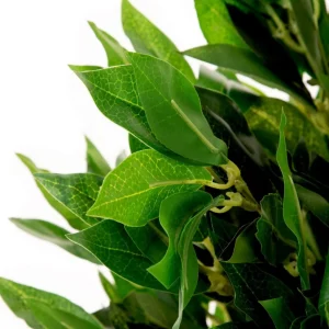 Roslina Sztuczna Tropical Zone Drzewko Laurowe 90 Cm