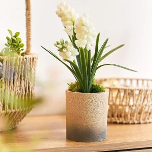 Roslina W Donicy Convallis Konwalie 15X15X30 Cm