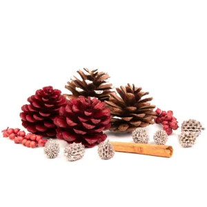 Susz Dekoracyjny Roque Pine & Cinnamon 18X12X7 Cm