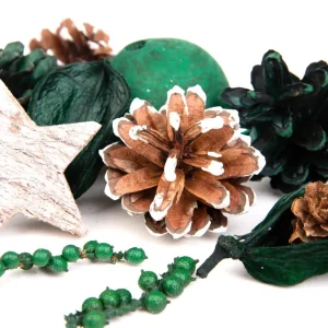 Susz Dekoracyjny Roque Pine 12X620 Cm