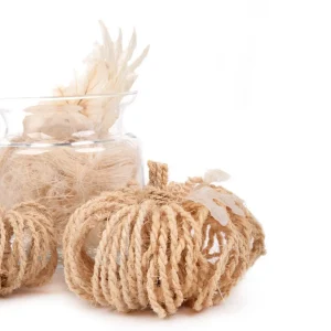 Susz Dekoracyjny Roque Z Dyniami Z Wlokna Kokosowego 20X22 Cm