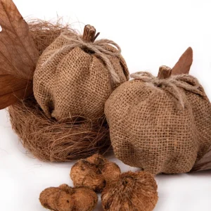 Susz Dekoracyjny Roque Zapachowy Z Dyniami 12X16 Cm