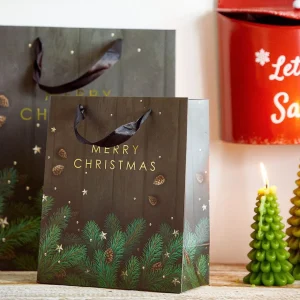 Torebka Prezentowa Cymka Szyszki 19X23X10 Cm